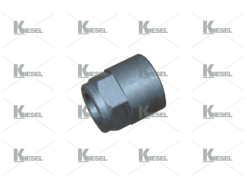 PERKINS NOZZLE NUT