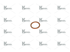 INJECTOR WASHER 7,5x15x1