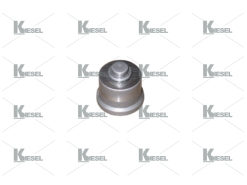 DELIVERY VALVE