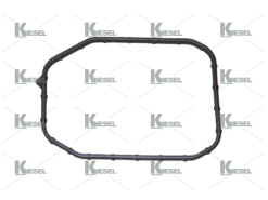 GASKET FOR PUMP EDC
