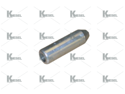 CAPSULE NOZZLE