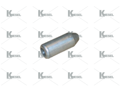 CAPSULE NOZZLE