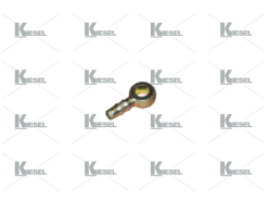BANJO D.6x4