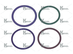 KIT O-RING FOR INJECTOR DELPHI VOLVO FH12 420HP MK1
