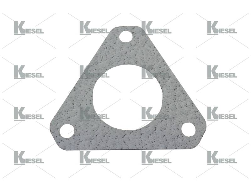 PUMP GASKET DPA-VE mm 10