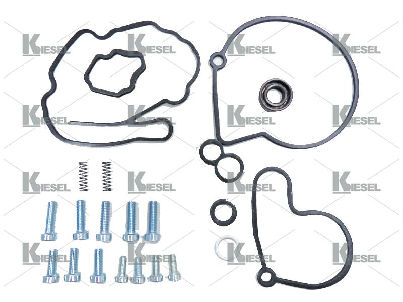 SEAL KIT AUDI VW TANDEM F009D00001