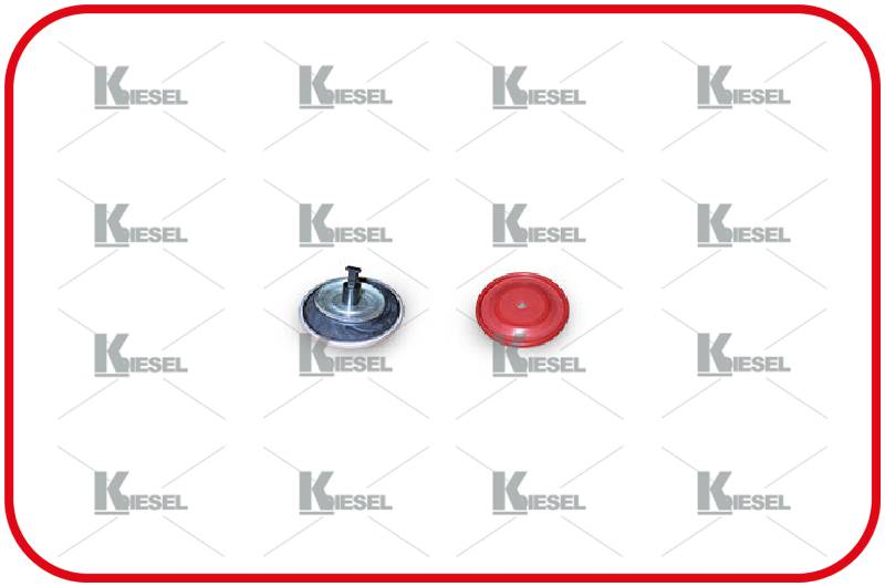 DIAPHRAGMS